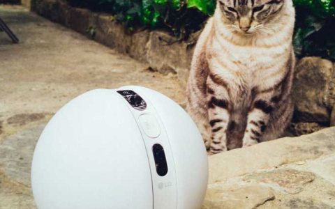 LG удивляет решениями для видеонаблюдения